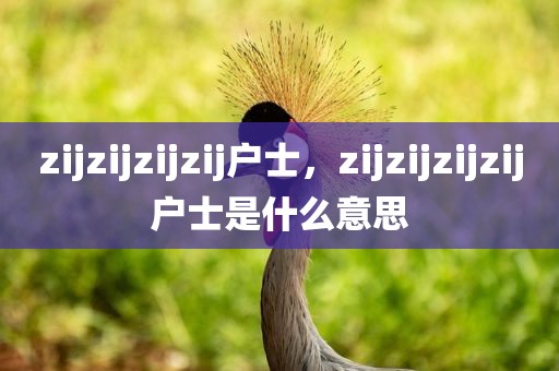 zijzijzijzij户士，zijzijzijzij户士是什么意思