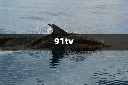 91tv