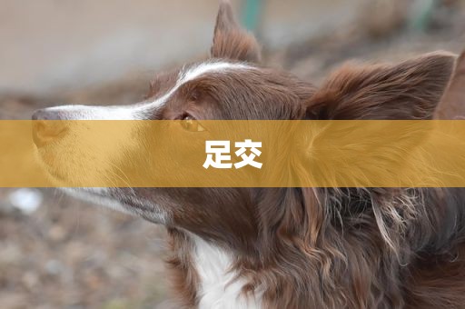 足交