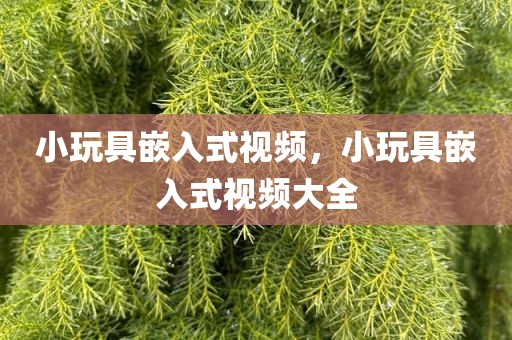 小玩具嵌入式视频，小玩具嵌入式视频大全