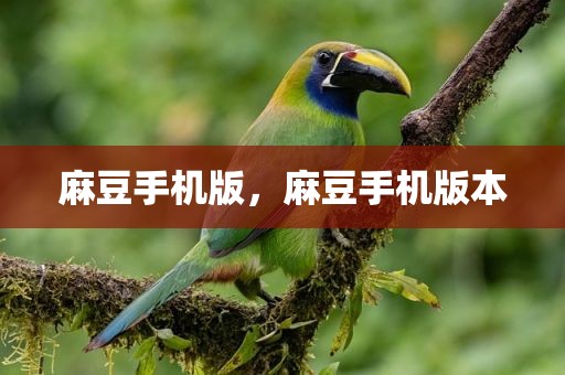 麻豆手机版，麻豆手机版本