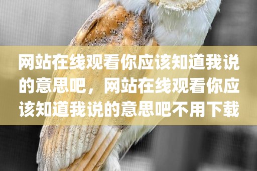 网站在线观看你应该知道我说的意思吧，网站在线观看你应该知道我说的意思吧不用下载