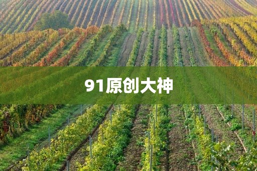 91原创大神