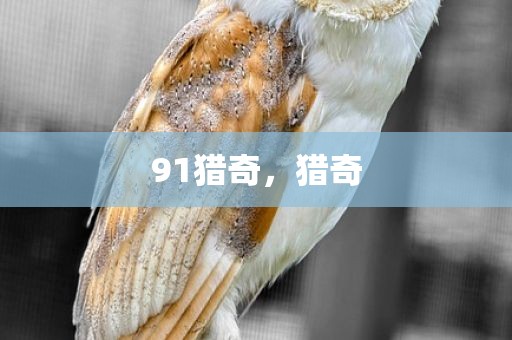 91猎奇，猎奇