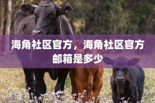 海角社区官方，海角社区官方邮箱是多少