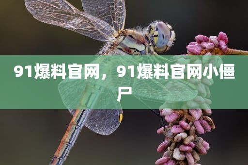 91爆料官网，91爆料官网小僵尸