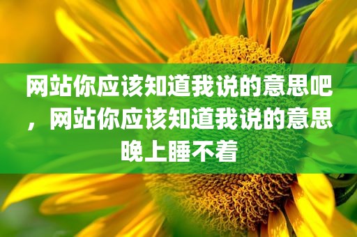 网站你应该知道我说的意思吧，网站你应该知道我说的意思晚上睡不着