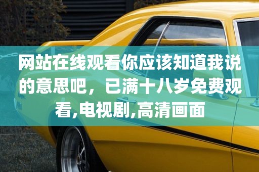网站在线观看你应该知道我说的意思吧，已满十八岁免费观看,电视剧,高清画面
