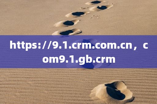 https://9.1.crm.com.cn，com9.1.gb.crm