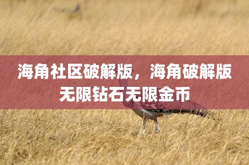 海角社区破解版，海角破解版无限钻石无限金币