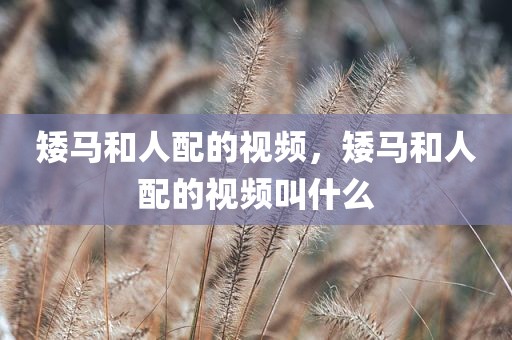 矮马和人配的视频，矮马和人配的视频叫什么