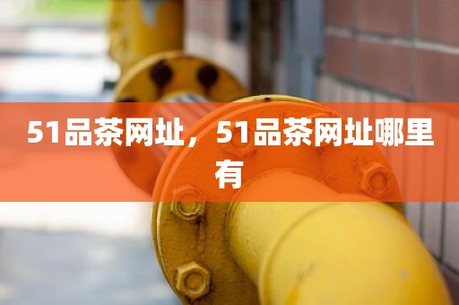 51品茶网址，51品茶网址哪里有
