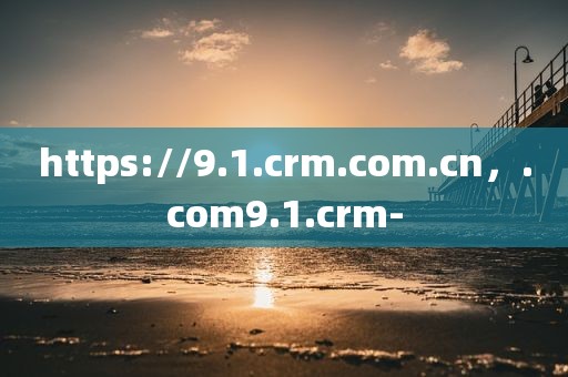 https://9.1.crm.com.cn，.com9.1.crm-
