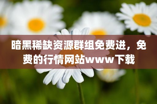 暗黑稀缺资源群组免费进，免费的行情网站www下载