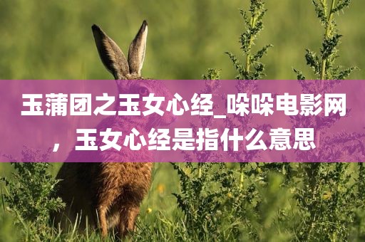 玉蒲团之玉女心经_哚哚电影网，玉女心经是指什么意思