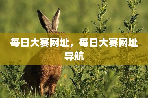 每日大赛网址，每日大赛网址导航