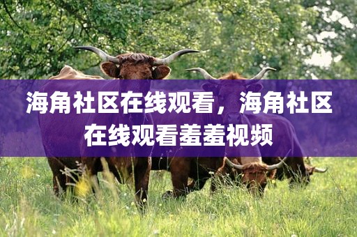 海角社区在线观看，海角社区在线观看羞羞视频