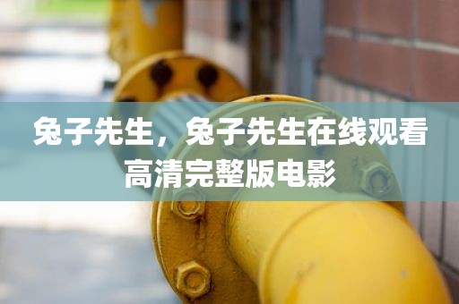 兔子先生，兔子先生在线观看高清完整版电影