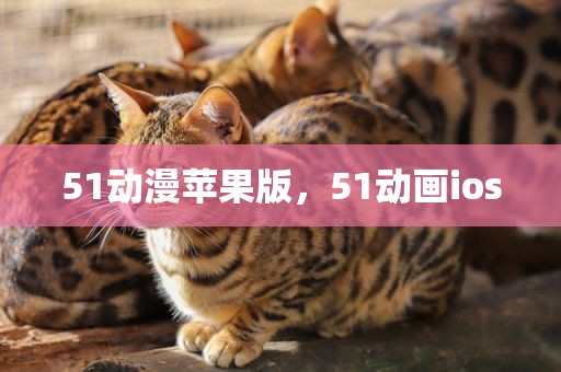 51动漫苹果版，51动画ios