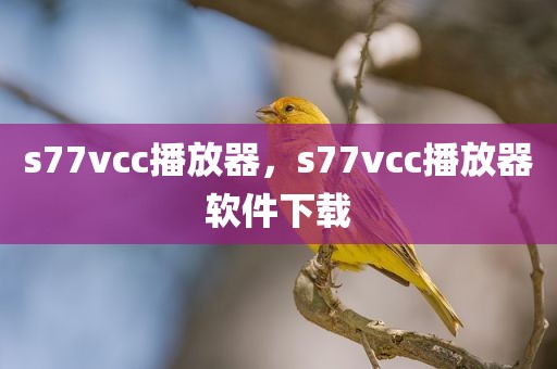 s77vcc播放器，s77vcc播放器软件下载