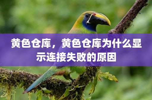 黄色仓库，黄色仓库为什么显示连接失败的原因
