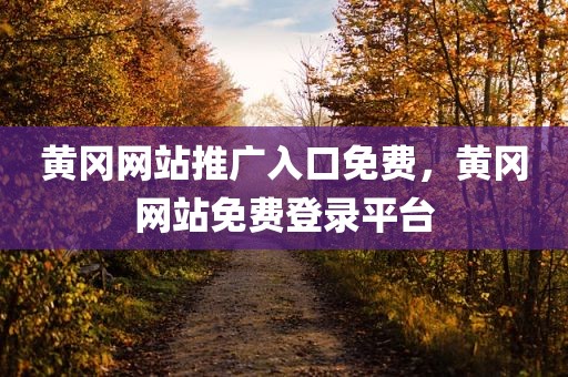 黄冈网站推广入口免费，黄冈网站免费登录平台