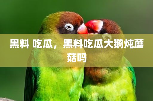 黑料 吃瓜，黑料吃瓜大鹅炖蘑菇吗