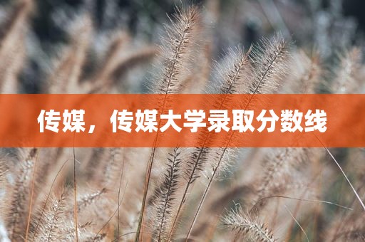 传媒，传媒大学录取分数线
