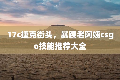 17c捷克街头，暴躁老阿姨csgo技能推荐大全