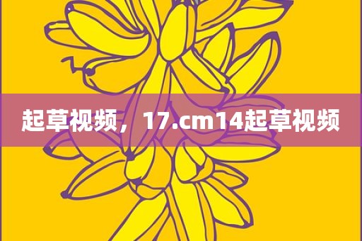 起草视频，17.cm14起草视频