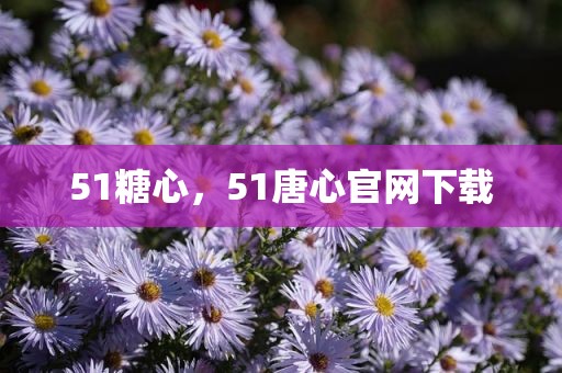 51糖心，51唐心官网下载