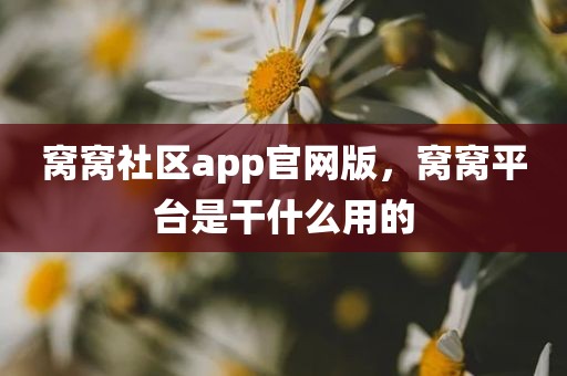 窝窝社区app官网版，窝窝平台是干什么用的