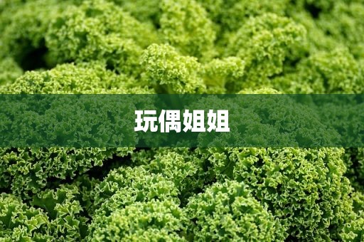 玩偶姐姐