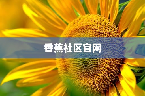 香蕉社区官网