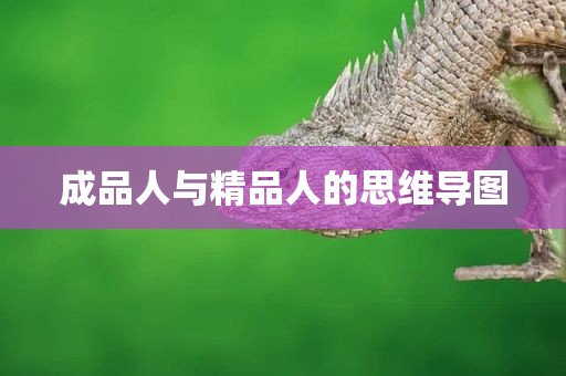 成品人与精品人的思维导图