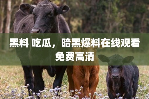 黑料 吃瓜，暗黑爆料在线观看免费高清
