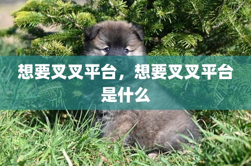 想要叉叉平台，想要叉叉平台是什么