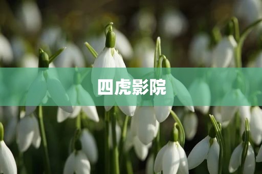 四虎影院
