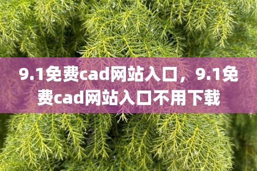 9.1免费cad网站入口，9.1免费cad网站入口不用下载