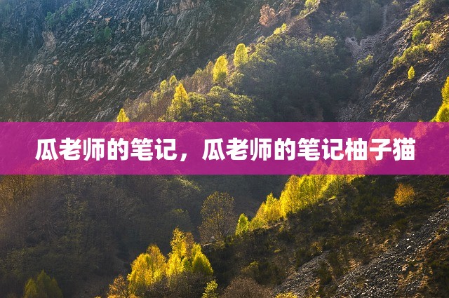 瓜老师的笔记，瓜老师的笔记柚子猫