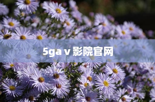 5gaⅴ影院官网