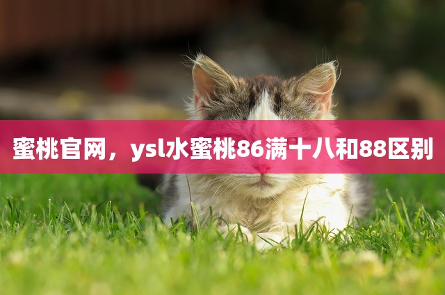 蜜桃官网，ysl水蜜桃86满十八和88区别
