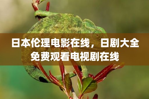 日本伦理电影在线，日剧大全免费观看电视剧在线
