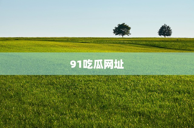91吃瓜网址