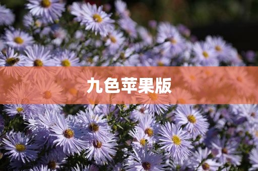 九色苹果版