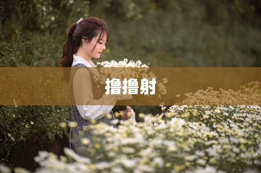 撸撸射