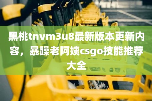 黑桃tnvm3u8最新版本更新内容，暴躁老阿姨csgo技能推荐大全