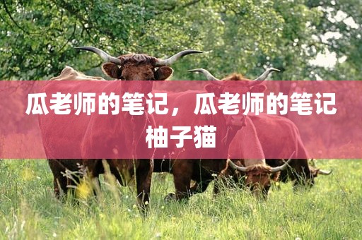 瓜老师的笔记，瓜老师的笔记柚子猫
