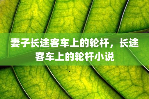 妻子长途客车上的轮杆，长途客车上的轮杆小说