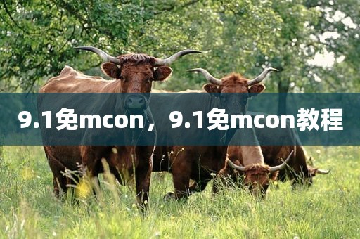 9.1免mcon，9.1免mcon教程